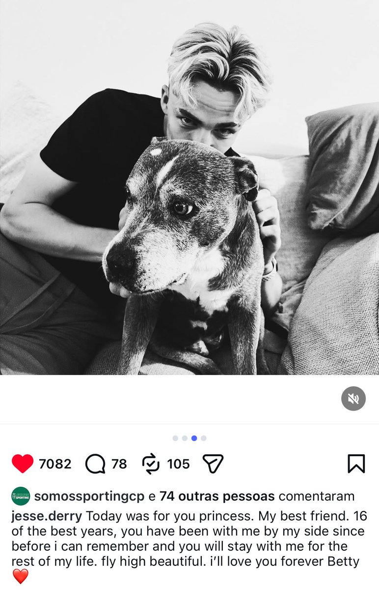 Sporting_CPAdep's tweet photo. Jesse Derry dedicou o golo de hoje à sua cadela Betty que morreu aos 16 anos 🤍 https://t.co/yZnf0yQApi