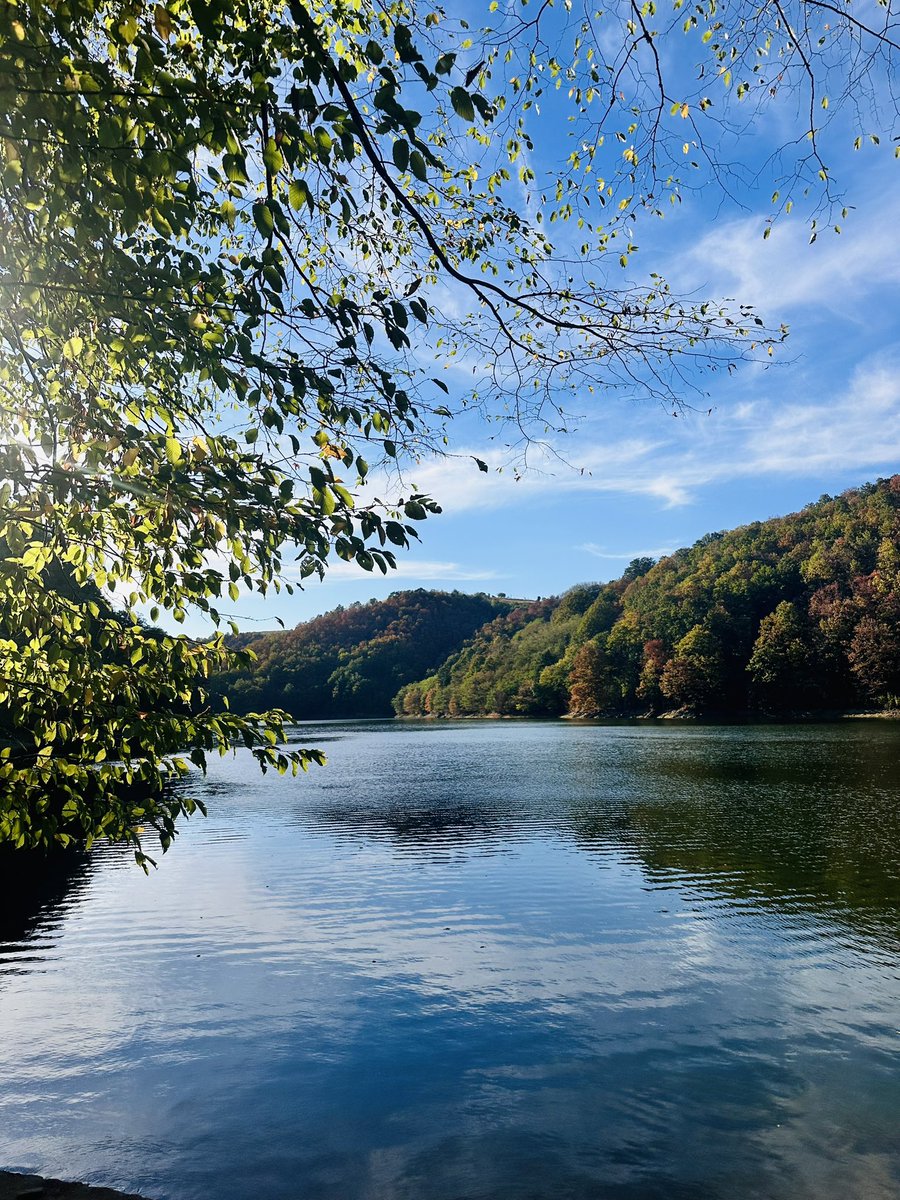 MihaelaSmaniot3's tweet photo. The simple language of nature✨🌿🍂 
May your weekend unfold gently. https://t.co/4rqljd5Jy7