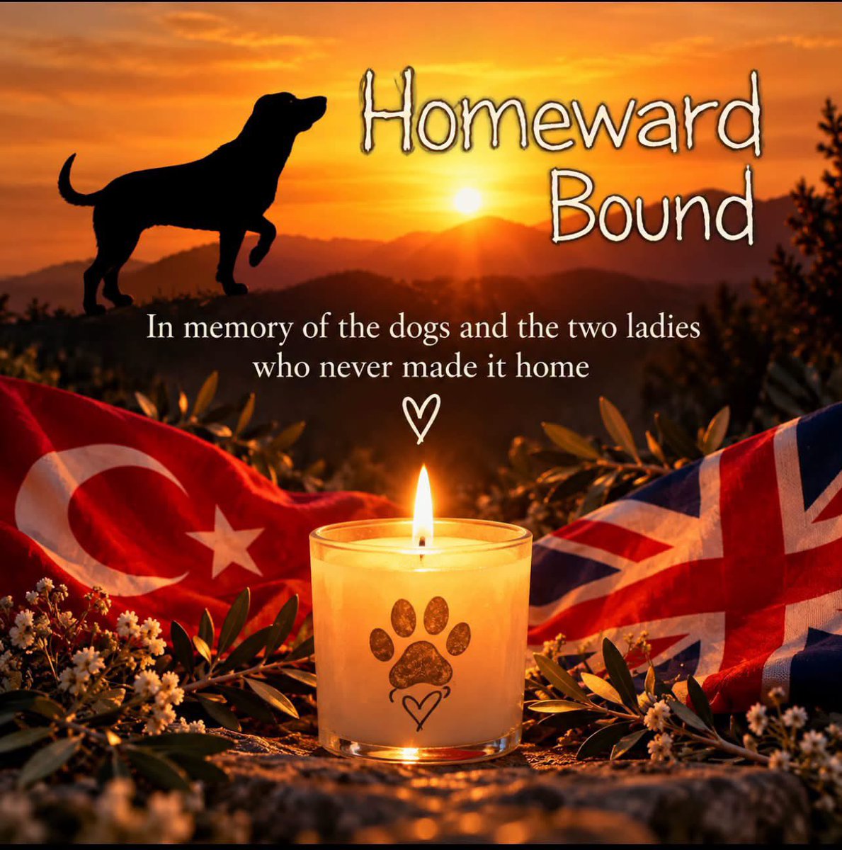 domdyer70's tweet photo. 💔 9 TURKISH RESCUE DOGS & TWO BRITISH RESCUE VOLUNTEERS TRAGICALLY LOST IN A TRAFFIC ACCIDENT TODAY 💔

Today the rescue world has been shaken by an unimaginable tragedy.

Our rescue friend Claire Dalton of Homeward Bound Rescue in Turkey has fought for years to protect and save dogs who had nobody else. These nine  precious dogs had finally left Turkey and were en route to Claires home in France, heading towards the brighter future Claire had fought so hard to give them.

They were being transported by two British women volunteers helping to get them to safety when their vehicle was involved in a devastating accident on the motorway in Romania. Tragically, both women and nine dogs of the ten dogs lost their lives. The one dog who survived will be collected and cared for by a Romanian rescuer today.

For Claire and her team this is simply unimaginable. To fight so hard for these dogs, keep them safe and finally see them begin their journey to a better life, only for it to end like this, is heartbreaking.

Our thoughts are also very much with the families and loved ones of the two ladies who lost their lives while helping these dogs on their journey.

Pictures of the accident are widely available on the internet, but out of respect for everyone involved, we have chosen not to share them.

Rest peacefully, beautiful dogs, and the two ladies who were taking you towards your new lives. 💔🐾

From all of us at SSRAI, our love and thoughts are with Claire and everyone affected by this terrible tragedy.
