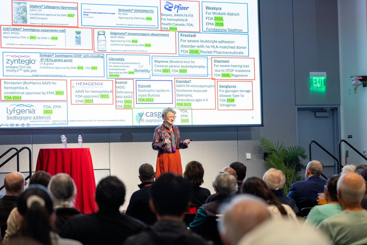 StanfordDeptMed's tweet photo. Spark Therapeutics co-founder & 2026 Breakthrough Prize in Life Sciences winner Katherine High delivered the Stanley Schrier Lecture at #StanDOM's #MedicineGrandRounds. She also led the team that won FDA approval for Luxturna, the first #GeneTherapy for an inherited disease. https://t.co/8tsleRo1N6