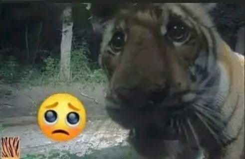 VelvetRushB's tweet photo. @RiveraVingette Nooo como que mi ecuakong es la burla de todos https://t.co/y0G6vrzDCU