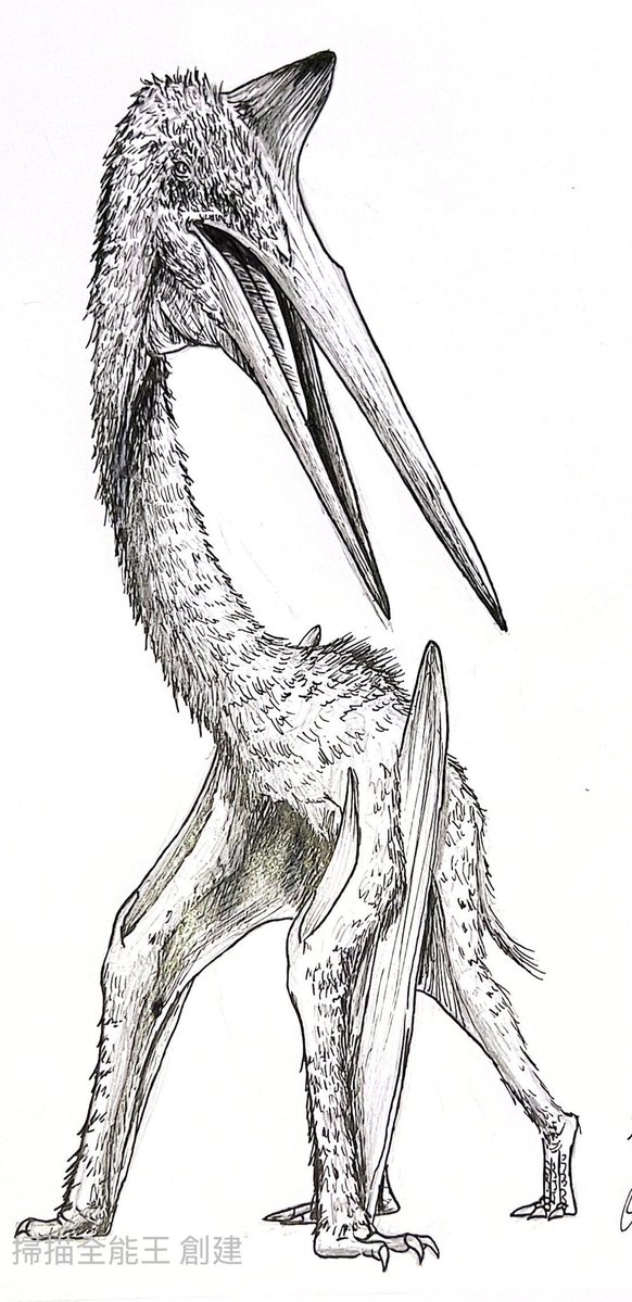 big_white67's tweet photo. Quetzalcoatlus northropi https://t.co/e3tiRIAGD9
