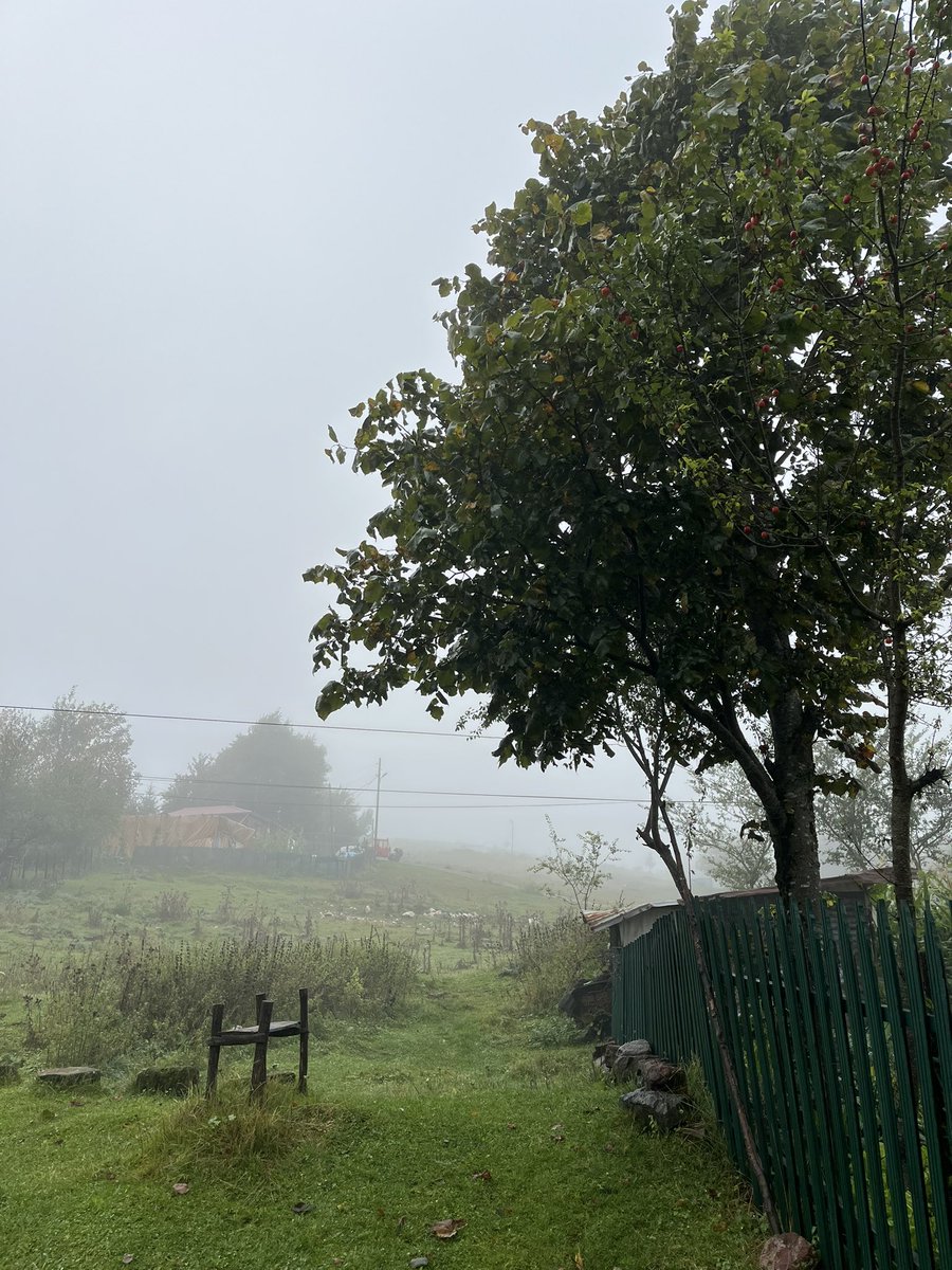 Meteederler's tweet photo. Yayla iyileştirir https://t.co/ZZkGW7xhuG
