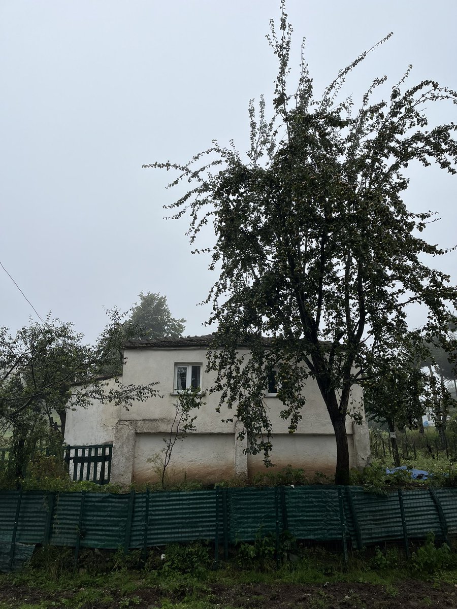 Meteederler's tweet photo. Yayla iyileştirir https://t.co/ZZkGW7xhuG