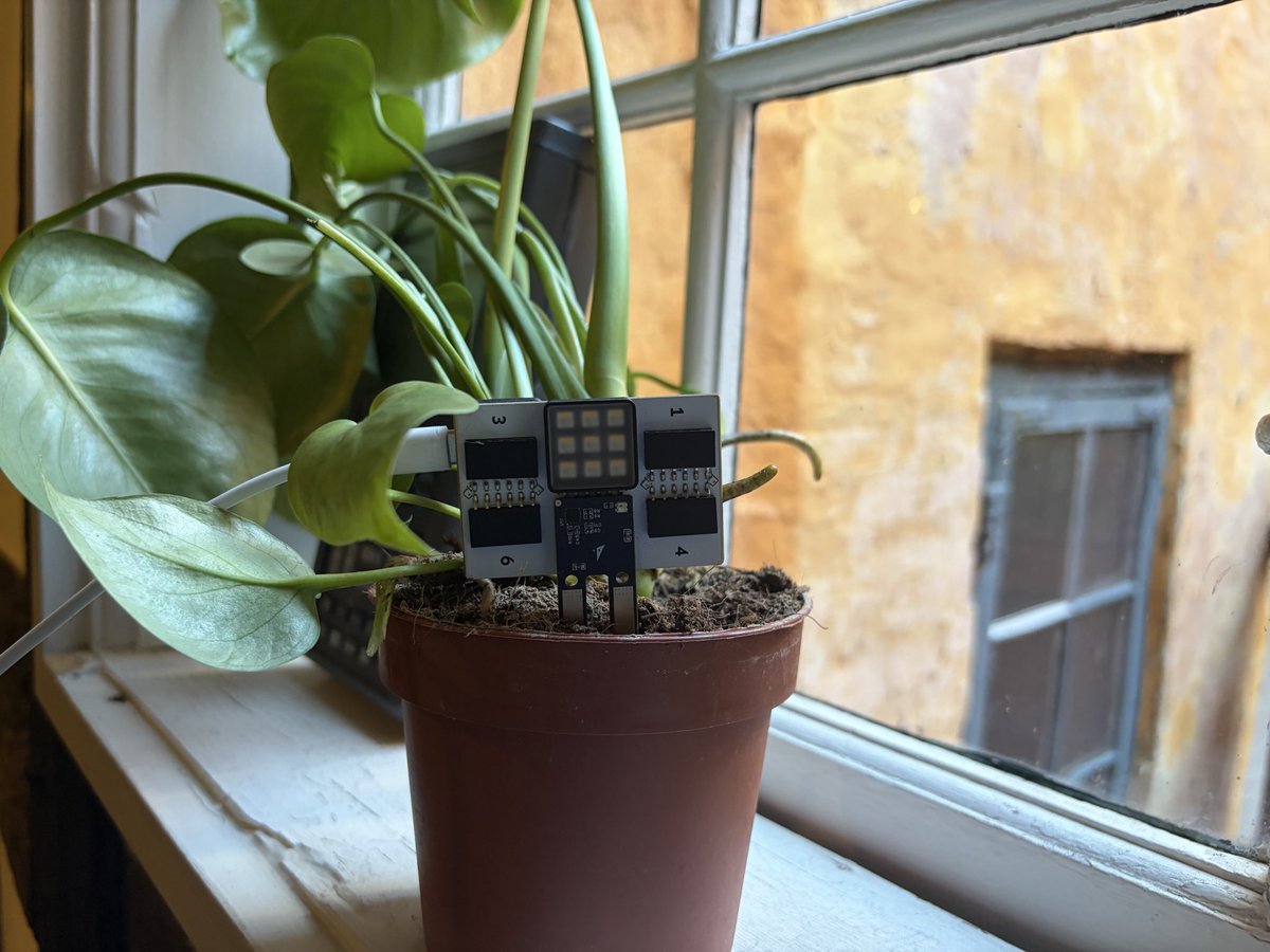 Gustav_Hugod's tweet photo. Imagine you could monitor all of you plants from the same device.

@Atech_dev https://t.co/0LSTBfGwGe