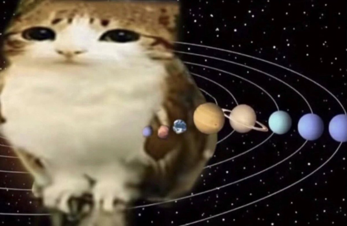 meowlreal1's tweet photo. they said meowl was just a cat https://t.co/laIFrdSaSb