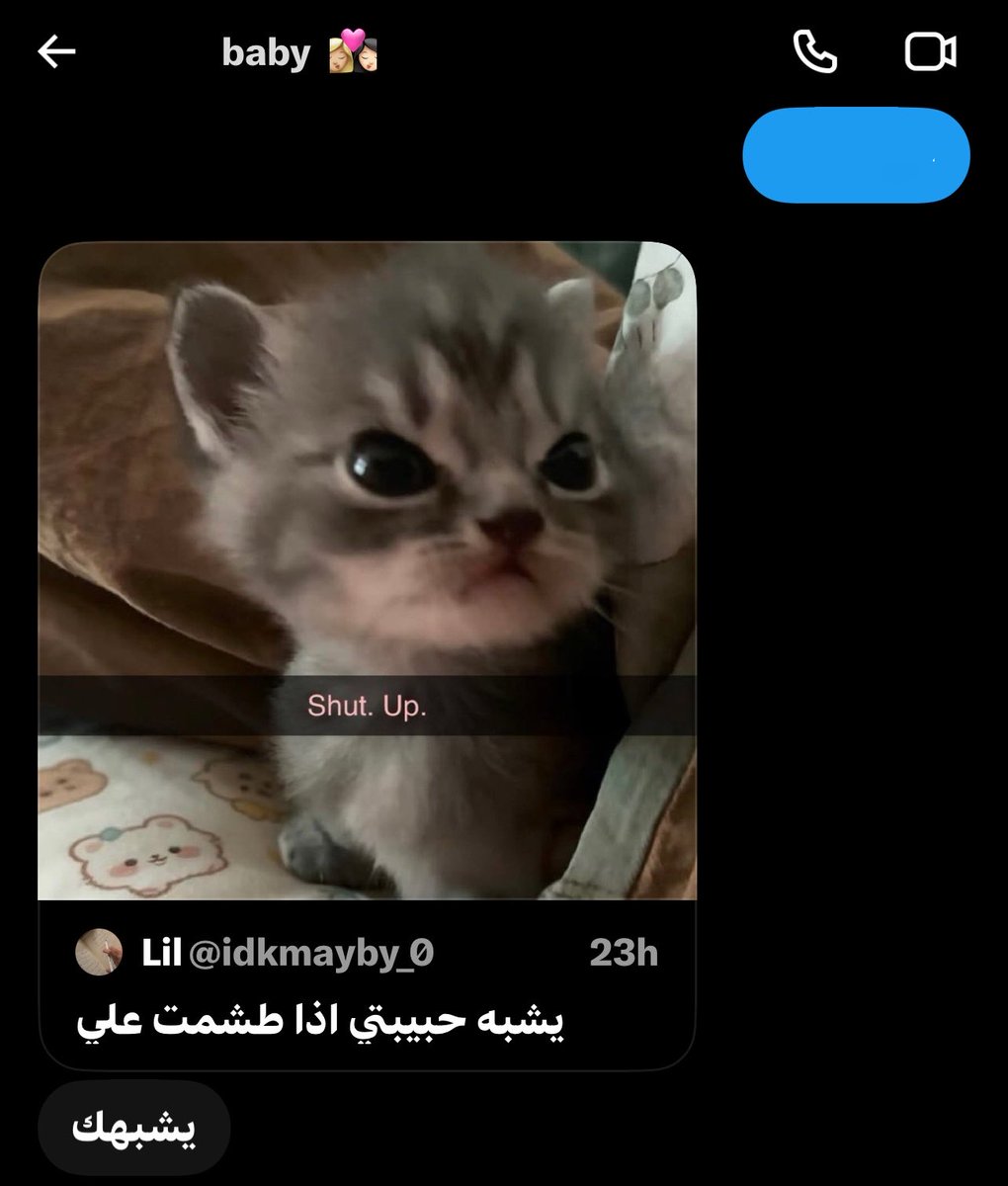 x2ljq's tweet photo. مياو https://t.co/wS30MvH0ys
