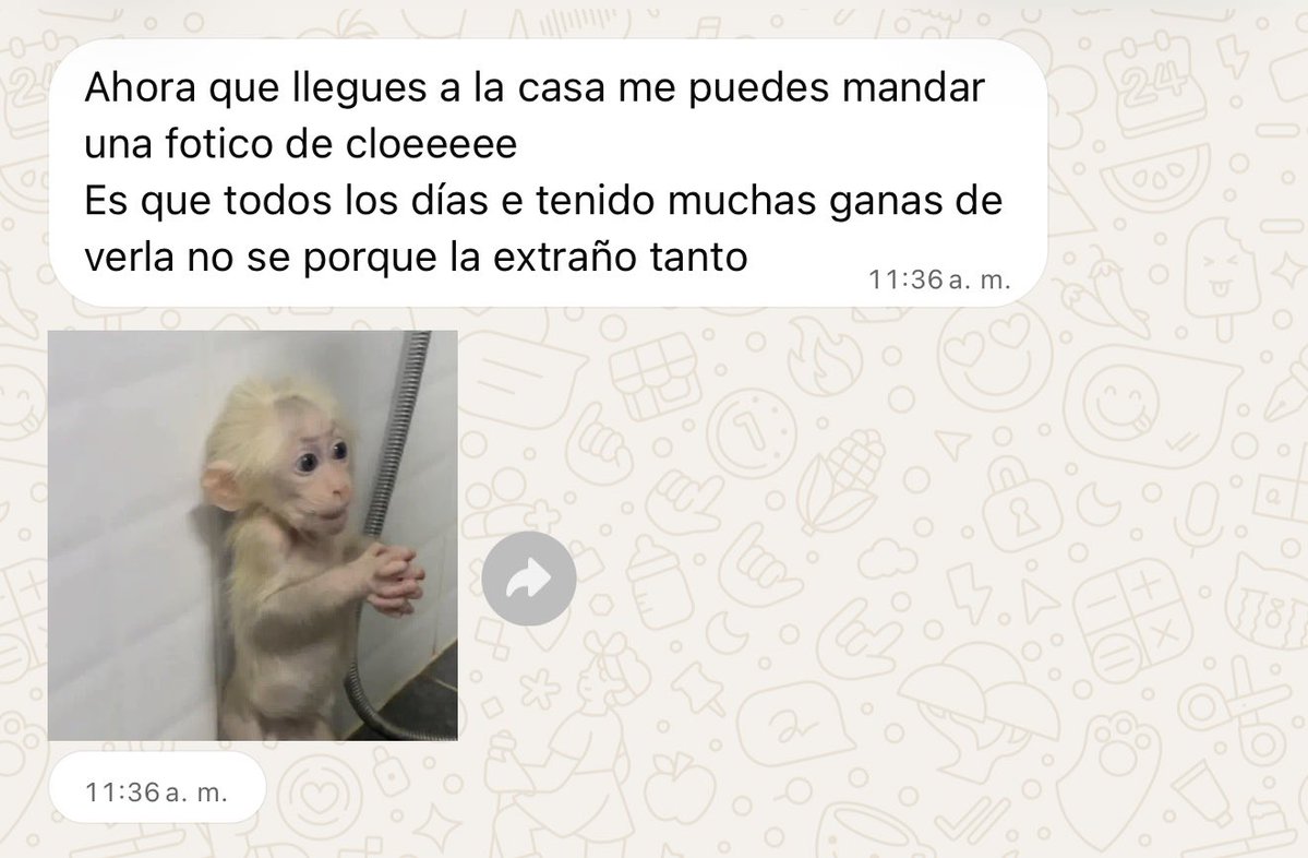 Ordosgoitiavm's tweet photo. Mi novio deja de ver a Cloe 2 diass y🙄 https://t.co/1xzZ50vy8H