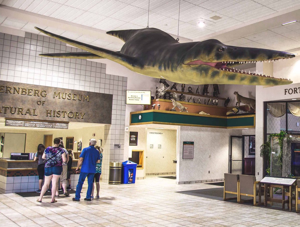 TM9380's tweet photo. Universities, places that should be pushing education and science outreach, have been betraying the public interests and trust left and right by shuttering and/or gutting their museums/programs. Shame on them. Don’t let them ignore your voice. https://t.co/bXxKEmpLoH