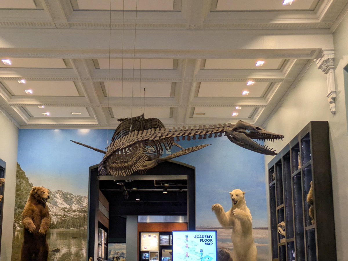 TM9380's tweet photo. Universities, places that should be pushing education and science outreach, have been betraying the public interests and trust left and right by shuttering and/or gutting their museums/programs. Shame on them. Don’t let them ignore your voice. https://t.co/bXxKEmpLoH