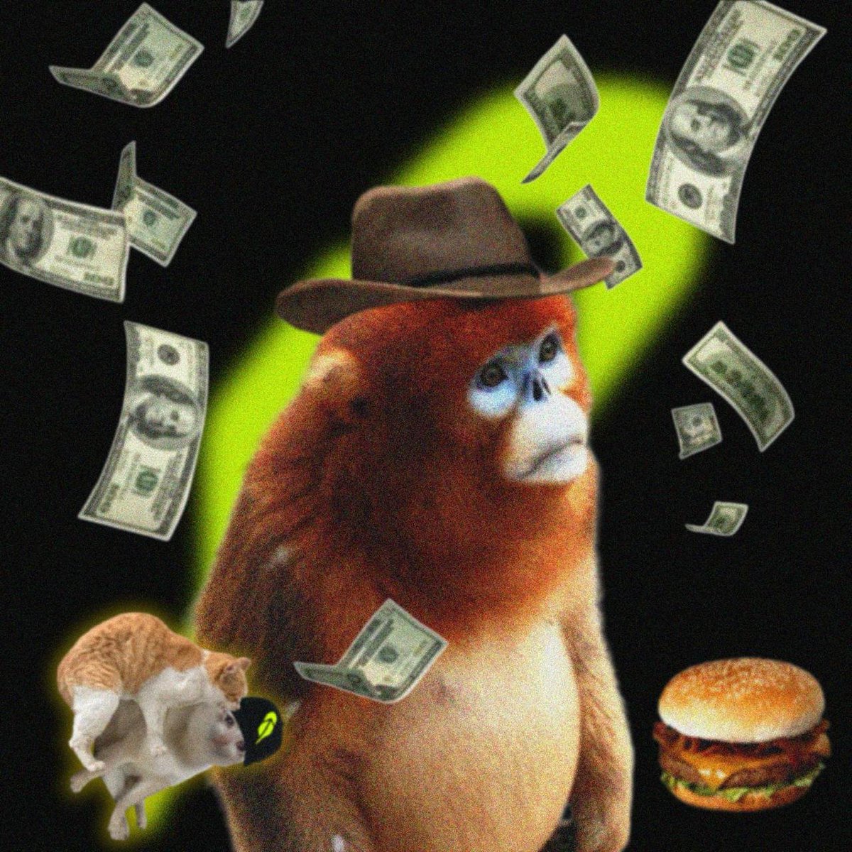 CashSnubs's tweet photo. MINT IS STILL LIVE.

Cash Snubs are still up for grabs.

don’t wait too long.
grab your snub before they’re all gone. https://t.co/Y61uLXMeFP
