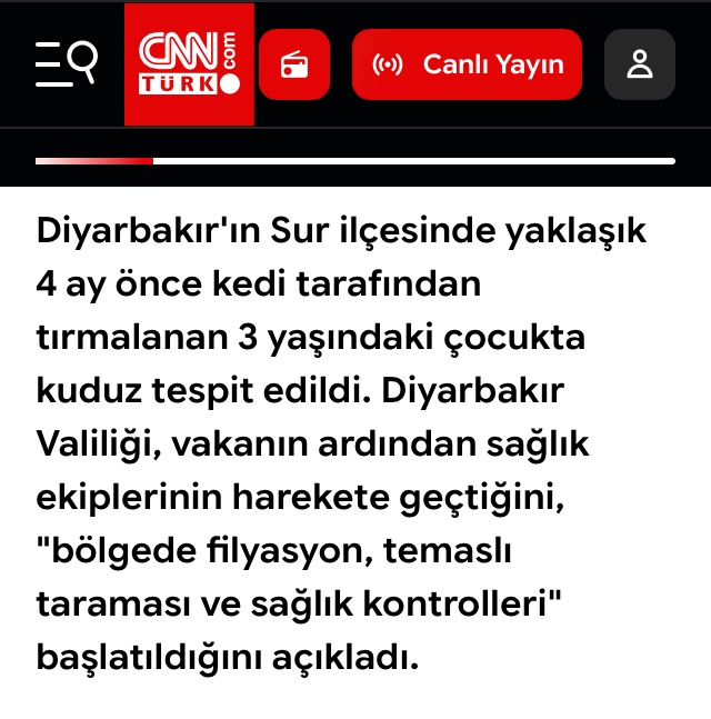 AnOldOldHand's tweet photo. @profsibelbicer Çok duygulandık. En merhametli çocuk sizin çocuğunuz. Geçen aylarda kedi tırmığı yüzünden kuduz olup hayatını kaybeden çocuk umurunuzda bile olmaz ama değil mi? https://t.co/lacKtUF8KK