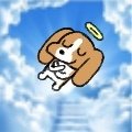 Macckia0102's tweet photo. 不是 排卵期到底是要怎样啊 感觉流的水多到可以去救灾了（不是） https://t.co/GV91lYfkIz