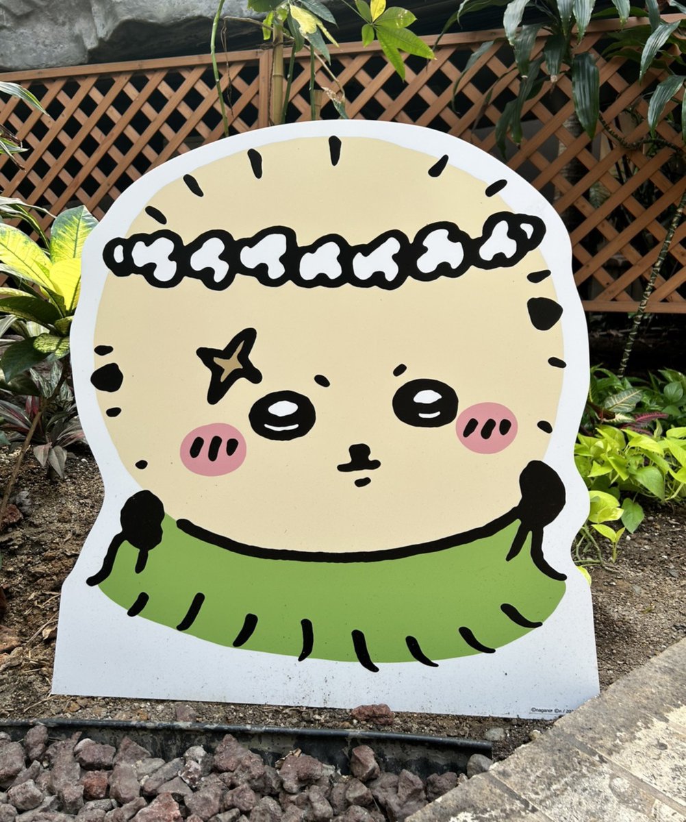 yWkL364's tweet photo. 腰みのの端っこをちょいと持ち上げる先生ほんまに萌えすぎる https://t.co/vhBpwOeN3K