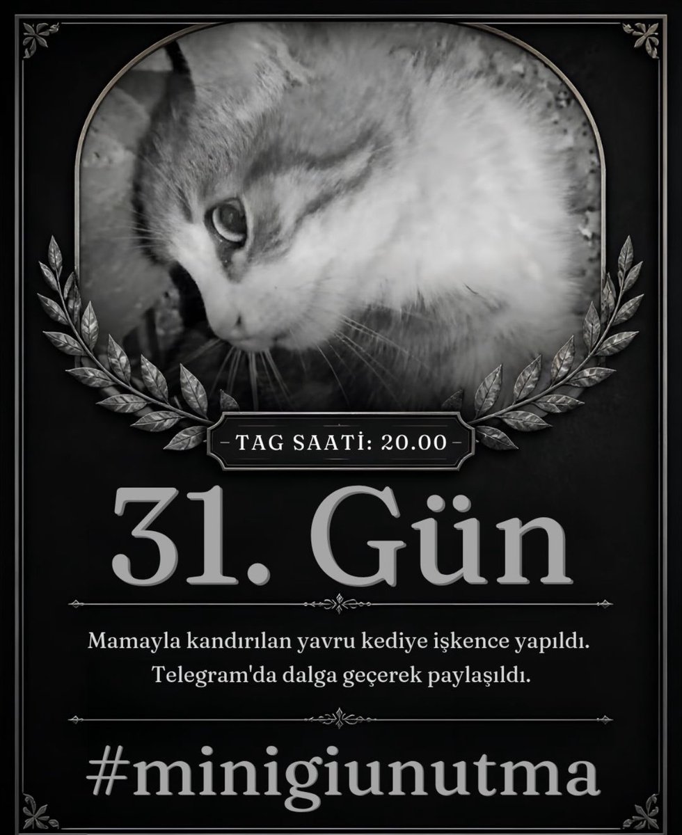 waygroup2014's tweet photo. Bu gece 20:00 de minik için ses olalım lütfen zamanı olanlar katılsınlar 🙏#minikiçinadalet #beslemeyasaklanamaz #Güsoderkapatılsın #SokakHayvanlarıSahipsizDeğil  @tvplussanayeter @AvKubraoktay @yasemnbabayigit  @Avadnanulutas 
@AtaturkBlack 
@gbhayalll @GulsahGorur @yud33709 @ursula_topaz 
@pinartimucin @AlliGokce @Hasardam   @enastaenistera @zeyyerinde1 @Asyyranta   @kelebeketkisi_s @AyeglAk90393304 @_Vech_ @paplocan152 @uluser  @RUZGAR1577 @periodede @kuzito_kuzito  @ayfer_levent @kedicikk16 @ku_ayd @sar_sukran58951 @_ecedrm  @Elara_20 @Gulsumella_MD @kontess1453 @efsalyldz @elmashera 
@yine_yeniden_22  @zdndrn2 
@ecilemakyildiz @blgtkdmr @Cahit06Meh43083 @Bravee_7989 @hkkursatgonul 
@SerdarOzdemirr_ 
@DrTarkanOzcetin @serakadigil @tarkan @pekkan1 @Laforizma
