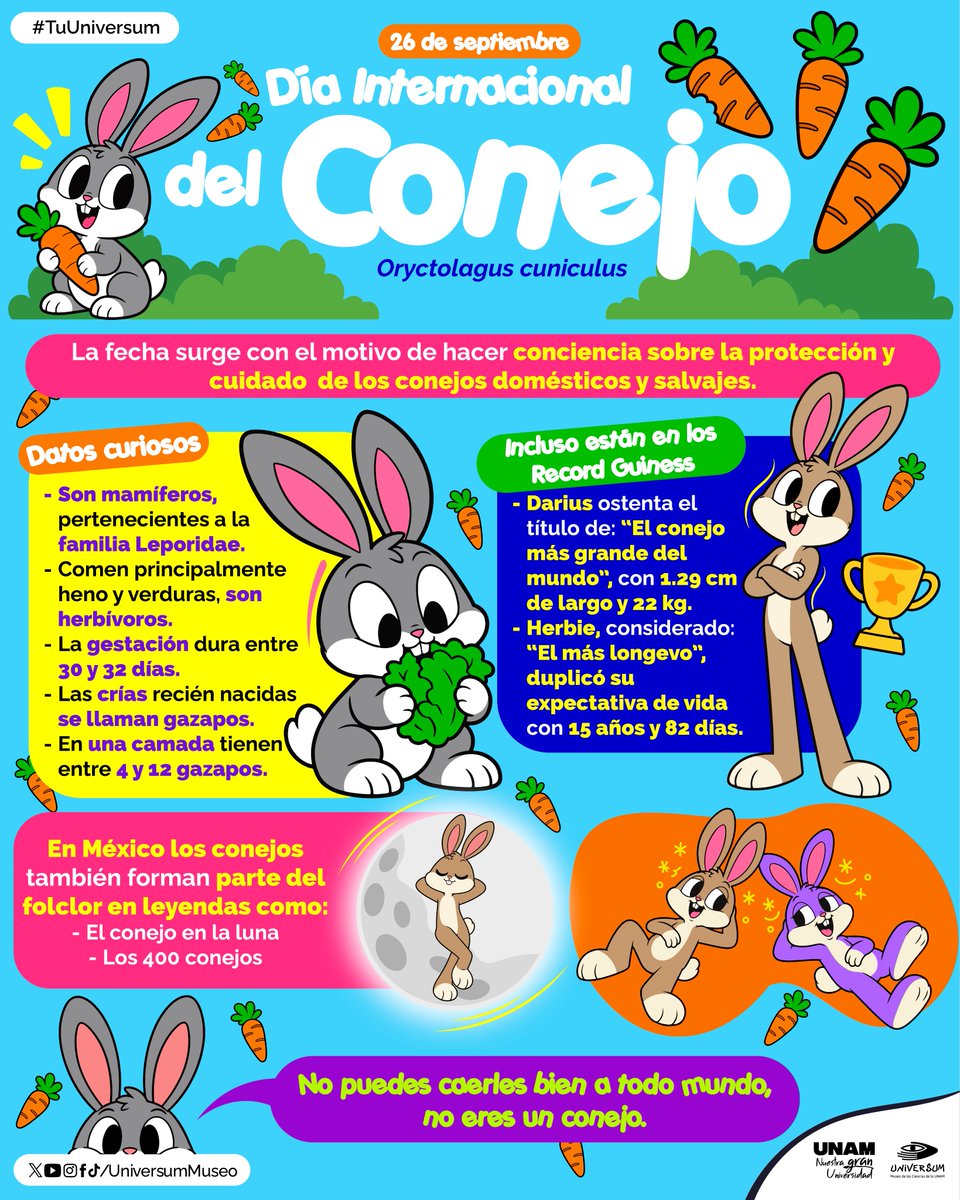UniversumMuseo's tweet photo. Hoy celebramos a los conejos 😍🐇🐇
Por eso te contamos sobre ellos 👇

#TuUniversum https://t.co/cjXqK6jbwV