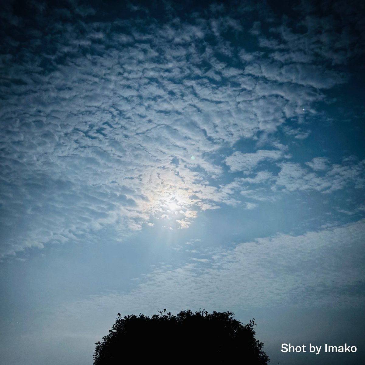imako214's tweet photo. 🌕
もう昨日だけど、レッスン前に空見たらお月様が綺麗だった✨

みなさんは月見しましたか？ https://t.co/sFO9Yqg57f
