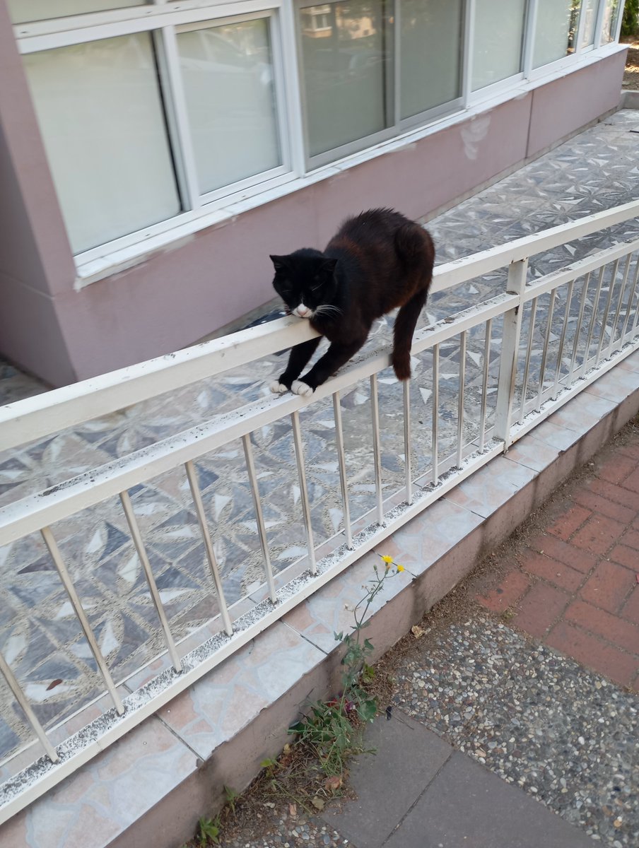 MRZ70518's tweet photo. @ortadanhanim Hep böyle durmasi peki 
Iki yıl önce hastane yokuşunda çektim https://t.co/zkjr9IaXGj
