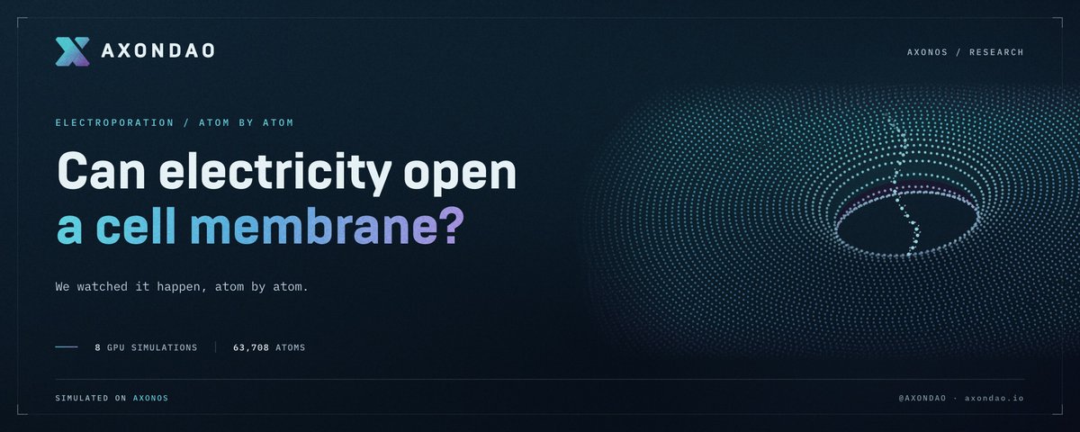 AxonDAO's tweet photo. Can electricity open a door in a cell membrane? ⚡️

8 GPU simulations on AxonOS. 63,708 atoms each. At 0.30 V/nm and up, a water channel punched straight through the membrane.

https://t.co/BAgiSdpy25 https://t.co/JawbwnOdH2