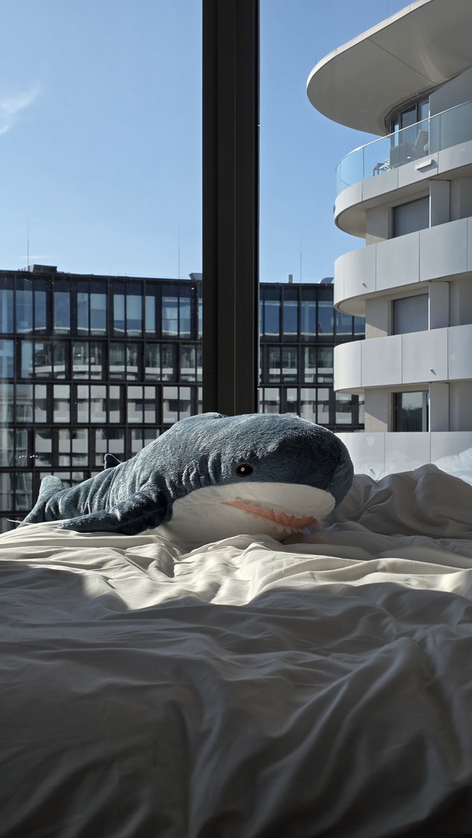 PyritFurry's tweet photo. shark :3 https://t.co/BXMUTCR4jQ