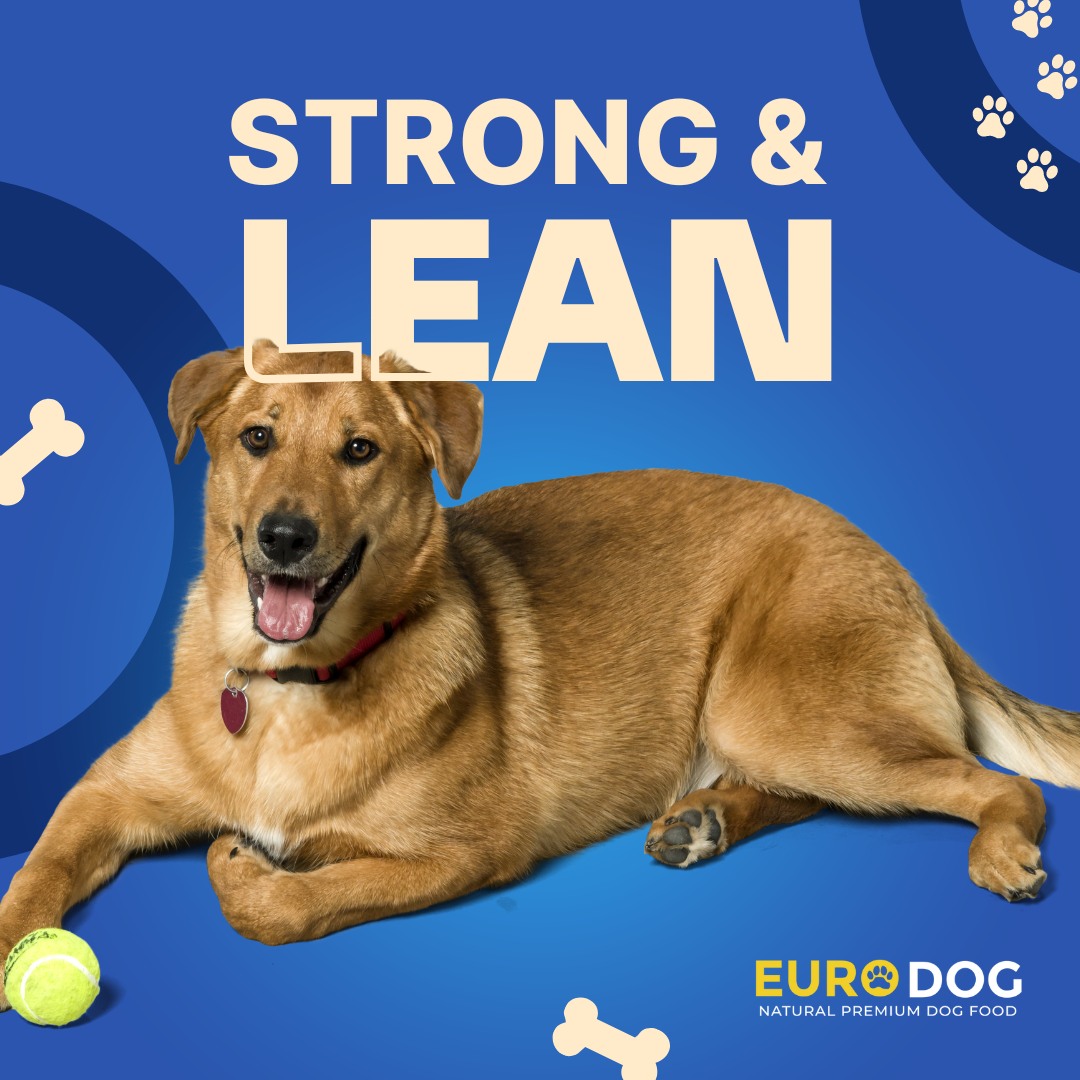 FerminYafai's tweet photo. Strong bones and healthy muscles for your buddy! Euro Dog supports your dog’s bone and joint health. Follow us on social media to be the first to learn more about Euro Dog. https://t.co/6YMbCyFk9Z