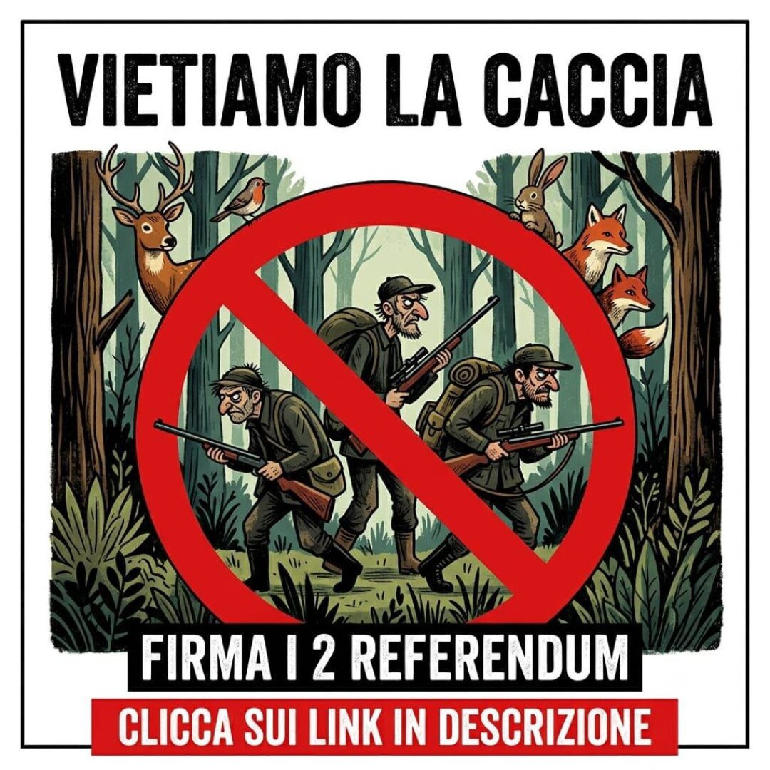 sandrinorusso74's tweet photo. https://t.co/JUGyQZsA5T #stopcaccia https://t.co/Ar1ssb0NYC