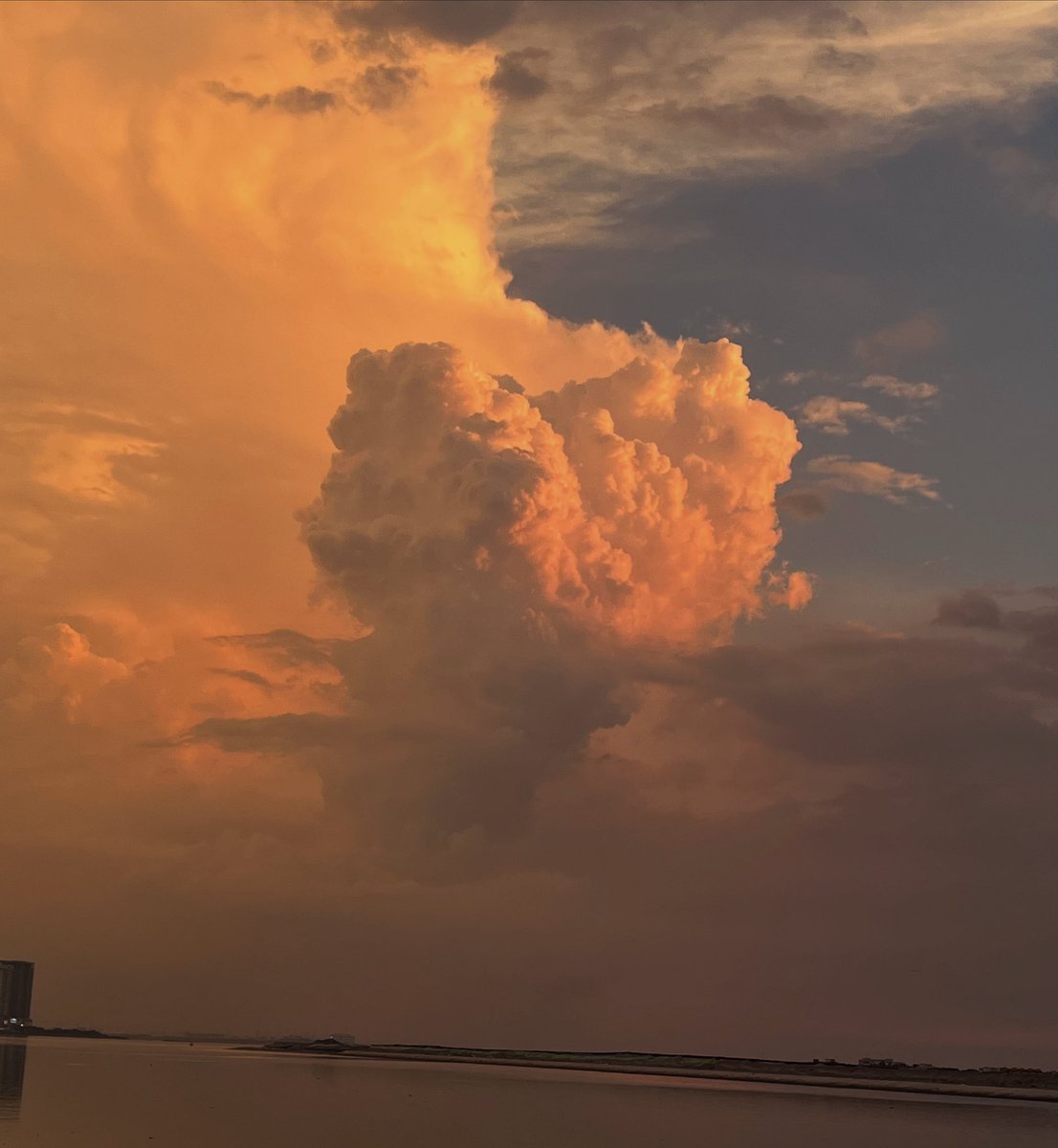 Natzilla8000's tweet photo. isa pa

hello twt world my name is nat
i make music
i like clouds
#nattwt
#musictwt
#cloudtwt https://t.co/8iyH7BwBr8