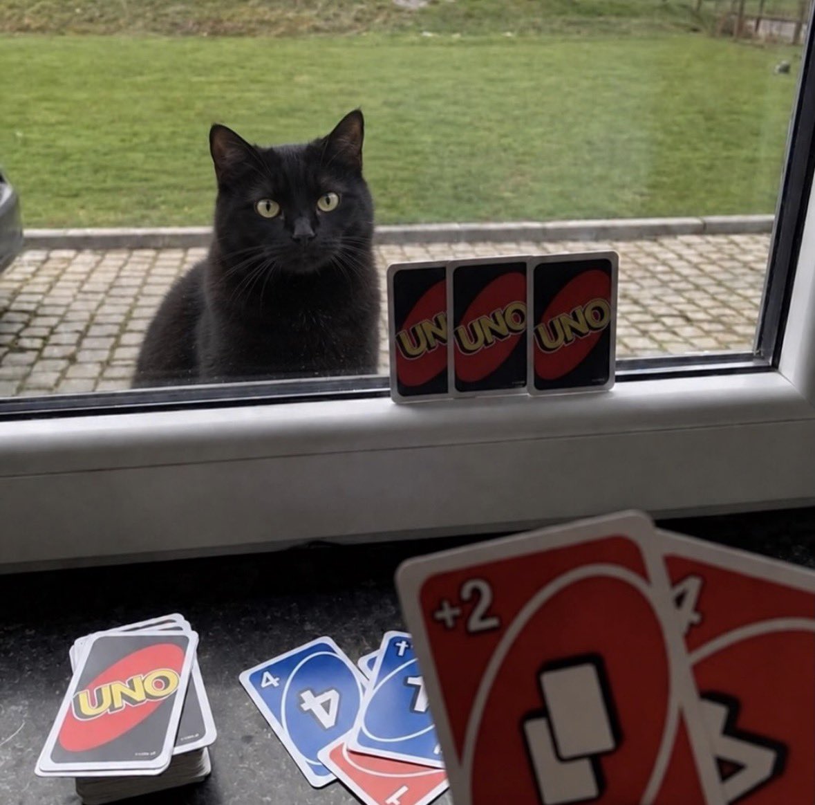 blackscats's tweet photo. Just a random Friday when I'm playing a quick game of Uno with my void https://t.co/u3Vq4eF93o