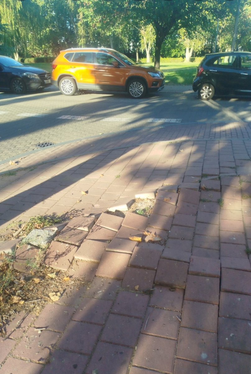 sergipeke's tweet photo. El estado de muchas aceras de Valladolid es de juzgado de guardia. Hay aceras que son, literalmente, intransitables. De verdad que no sé a qué destinan el dinero, aparte de a destruir carriles bici gastándose miles de euros. https://t.co/3zWrm4IsFv