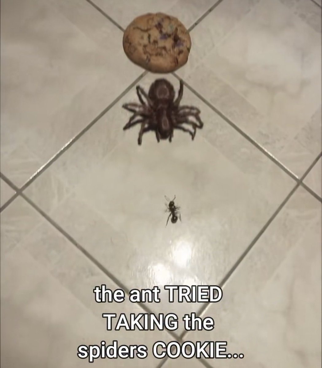 EvilLargeBug's tweet photo. Does anyone know if this picture is real or what please it’s so bfucking funny to me https://t.co/Gbb9c6vHw8
