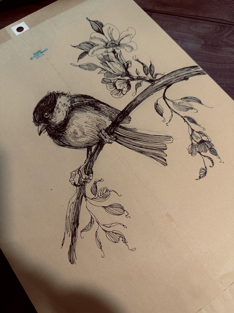 Simwerks's tweet photo. Ink drawings from this month https://t.co/HZOsBNtPyY