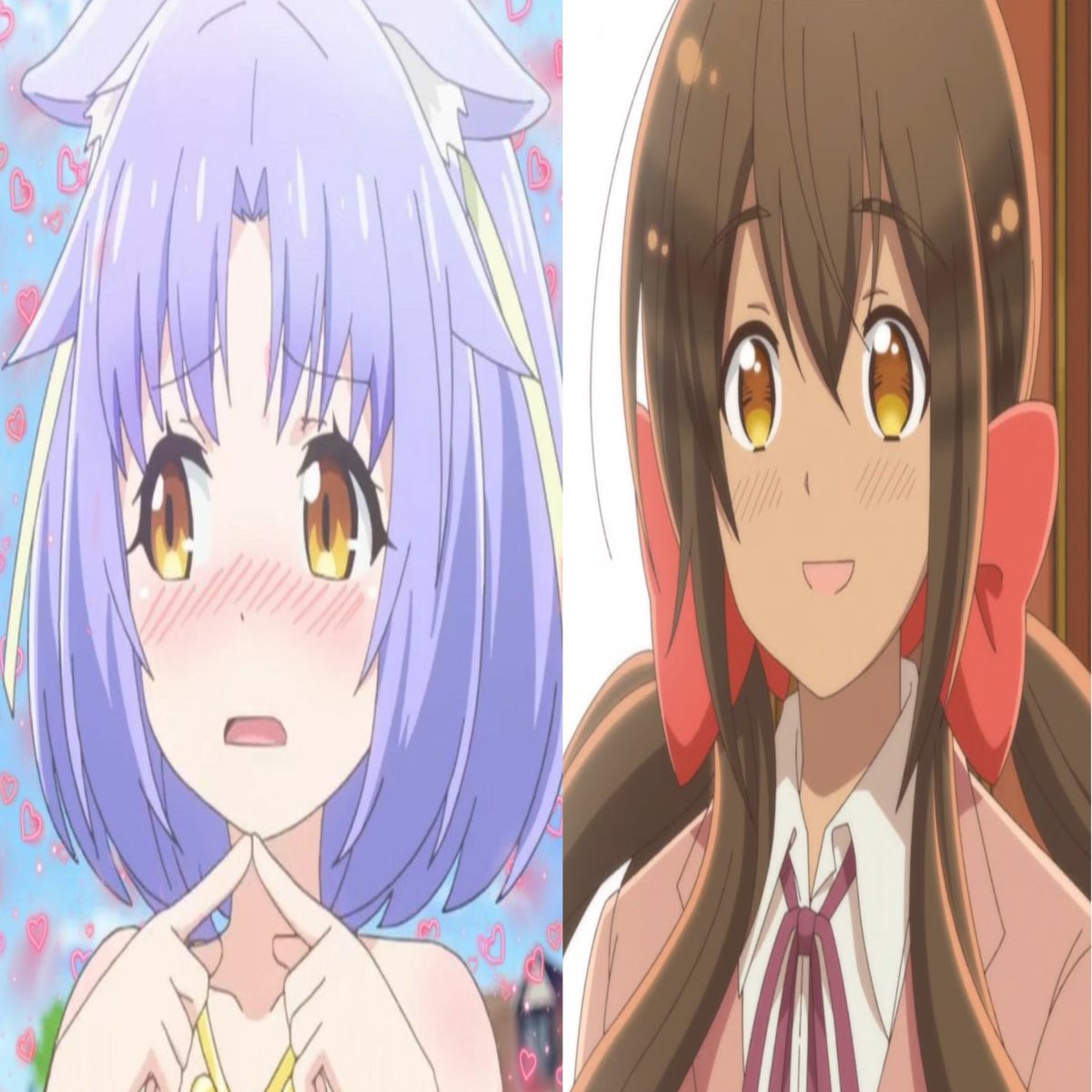 kittemae's tweet photo. Adding onto this,,, seychelles (my other fav) and cinnamon have the same eye colours😁😁 idk I think that's cool like they're almost the same colours👍👍 everyone needed to know this btw,, https://t.co/lG15hxQUbe