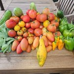 Photo by AmpleHarvest.org (@AmpleHarvest)