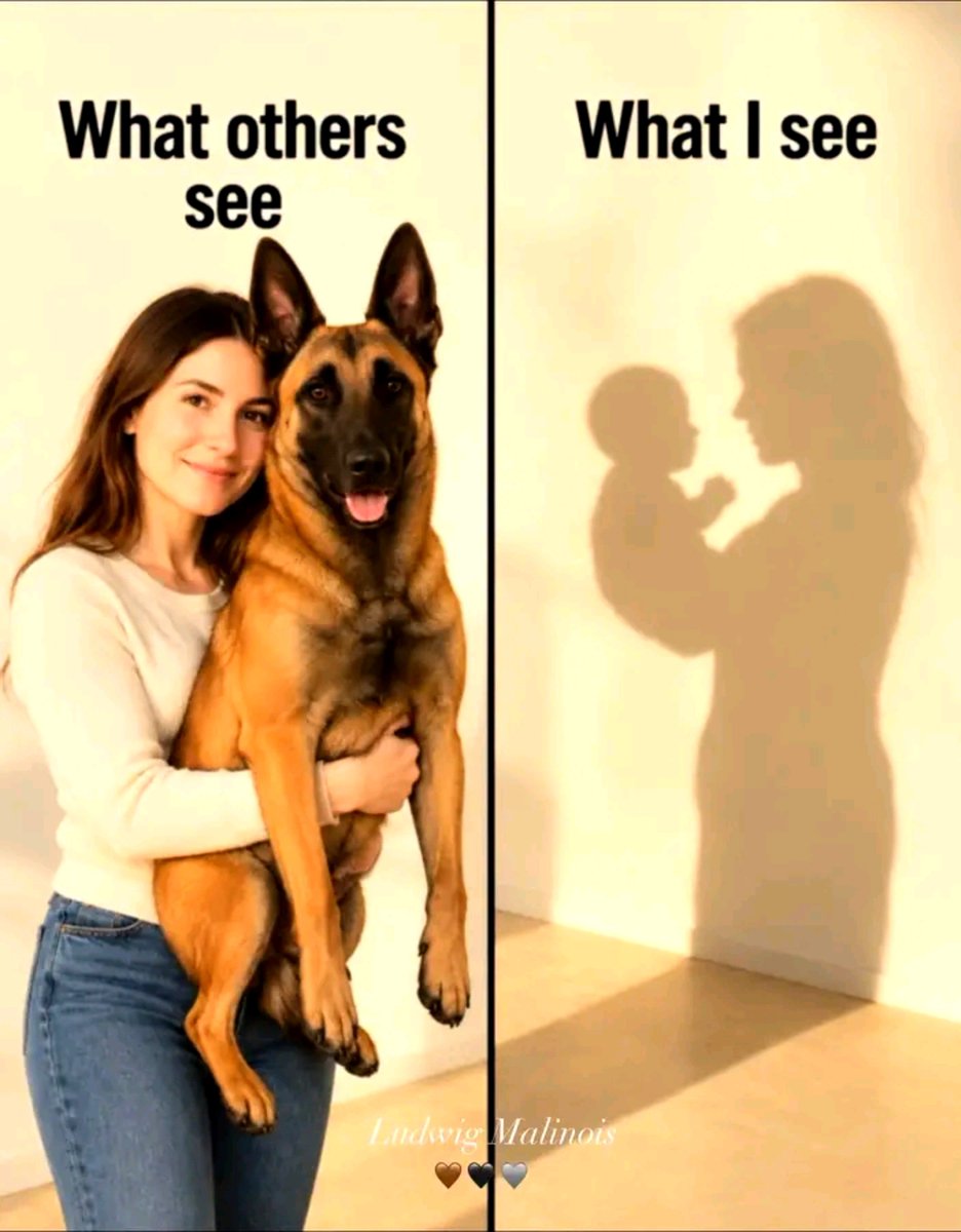 pawprintsdaily6 tweet picture