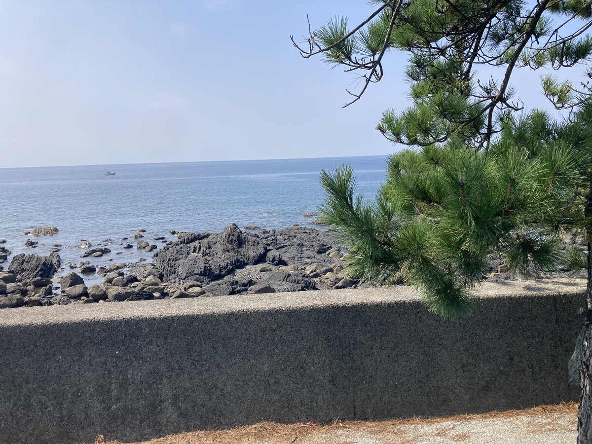 KM18740168's tweet photo. ほっほっほ。
いい縦縞の地層じゃ😇

この松と海と地層…そして広末さんの風のプリズムのBGM
高知って感じがする🐻‍❄️ https://t.co/8lGxa7EXUC