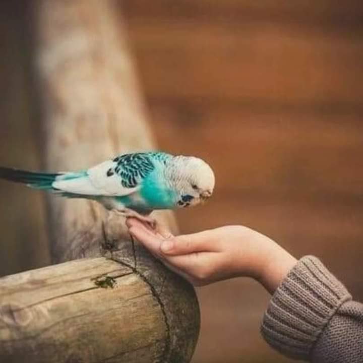 Miscellaneo9rc3's tweet photo. اعظم ما جاء به القرآن في أدب العلاقات الإنسانيه : 
"وَلَا تَنسَوُا الْفَضْلَ بَيْنَكُمْ ۚ". 
ففى الشدائد تمتحن معادن الناس https://t.co/imN4mDm7u8