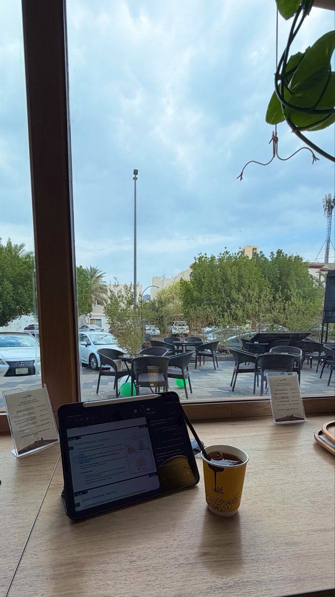peachycloud7's tweet photo. You and me, studying together at a cafe this fall semester 🤎🍂 ♡.･✩°｡⋆ https://t.co/LjOtwYWpqA