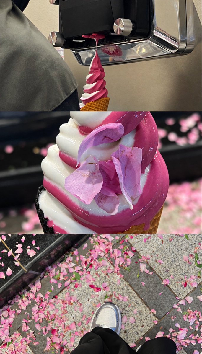 lllierr2's tweet photo. F L O W E R S 🌸 https://t.co/vdxKmkgHB4
