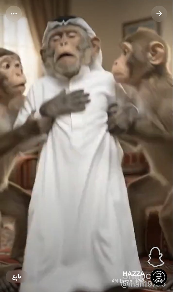 Ialbatar's tweet photo. @absbanirasheed @Akkadian_V12 طكيح بعد ما شاف ردك ههههههههه🤣خربت عليه متعت توهمه 🤣🤣🤣🤣🤣 هذا E اصابه بالجنون 😁 https://t.co/89MqUnsxd0