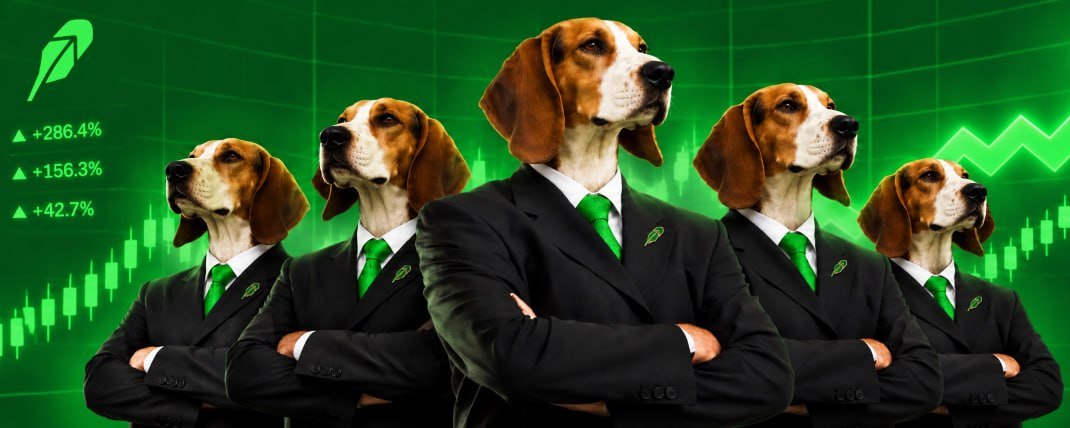 Robinhood's Dividend Hounds