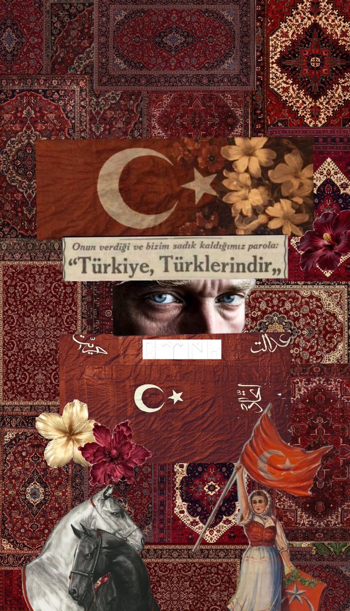 tmrshtn10's tweet photo. “Türkiye, Türklerindir.” https://t.co/GHG2fmbRgl