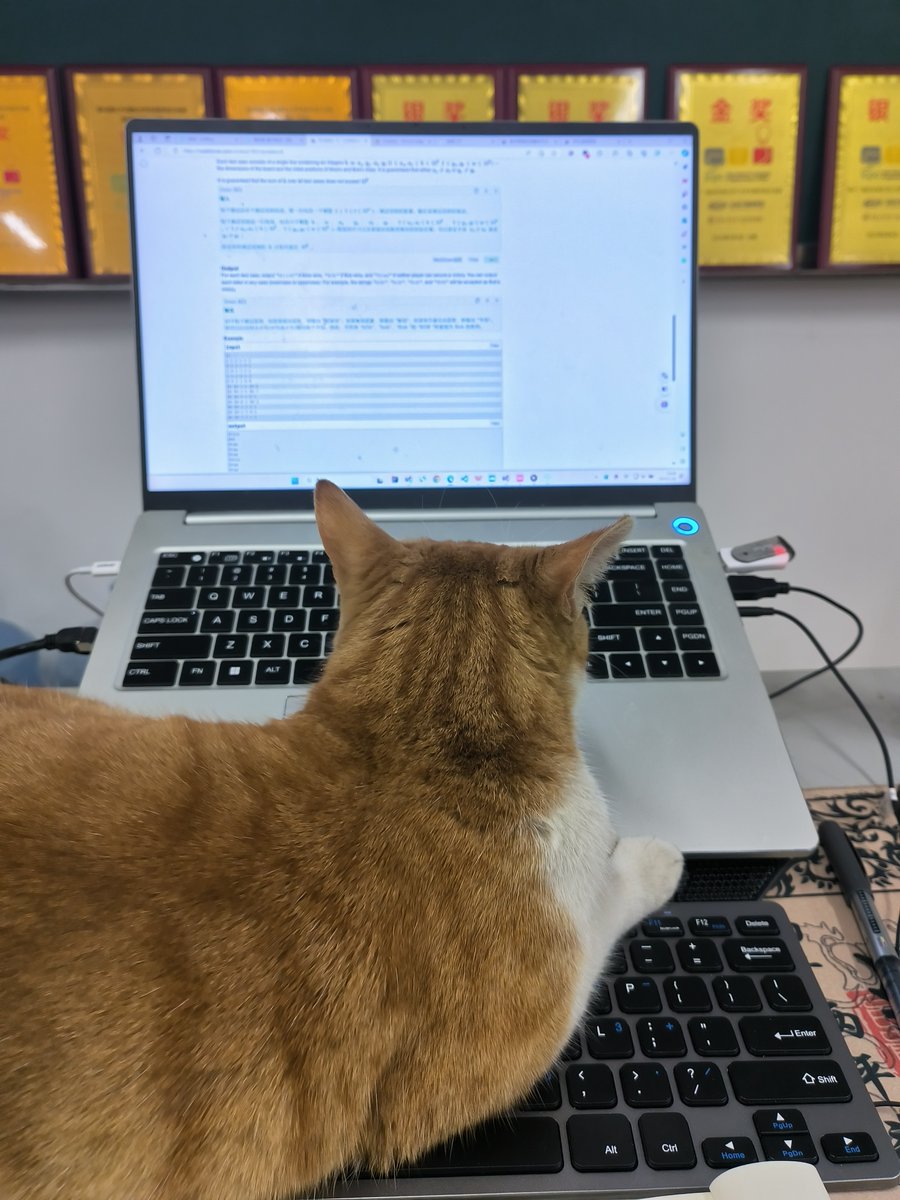 NicolasaObfpb's tweet photo. Hoy en la oficina, el gato de la empresa se subió al teclado y borró el informe trimestral. El jefe se rió tanto que hasta olvidó regaarnos! https://t.co/B9ZeJsfbvW