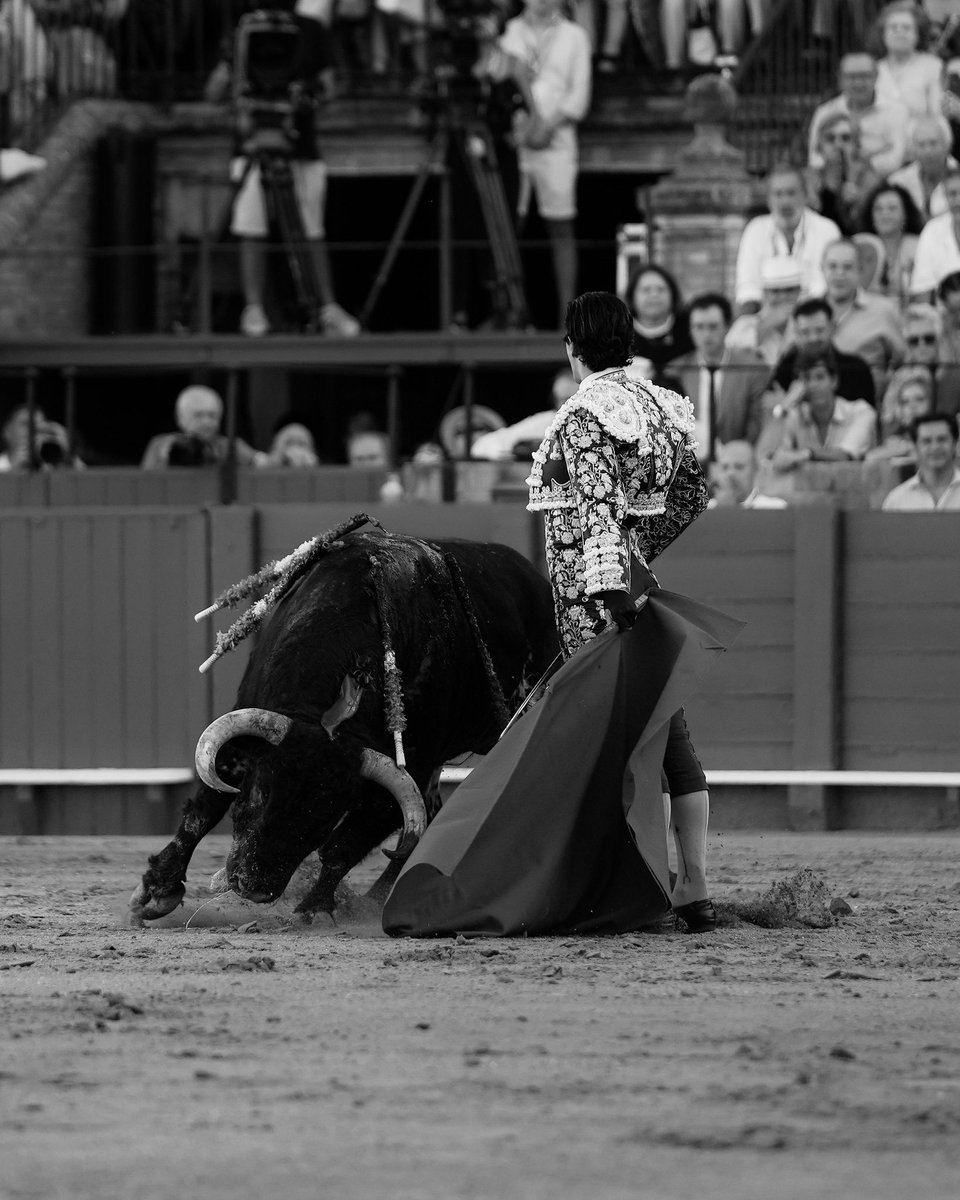 TQuifes's tweet photo. Alejandro Talavante en Sevilla. https://t.co/kc3z75EWxy