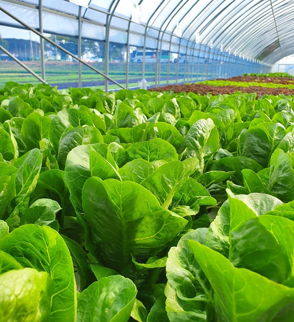 NewsGto's tweet photo. New opportunities for farmers are created in Texas
https://t.co/3GfrWyuxrF
#Guanajuato #Farmers #Producers #Export #McAllen #Texas #USA #Sales #VisitGuanajuato #TraveltoGuanajuato #BusinessinGuanajuato https://t.co/jpvQpe361N