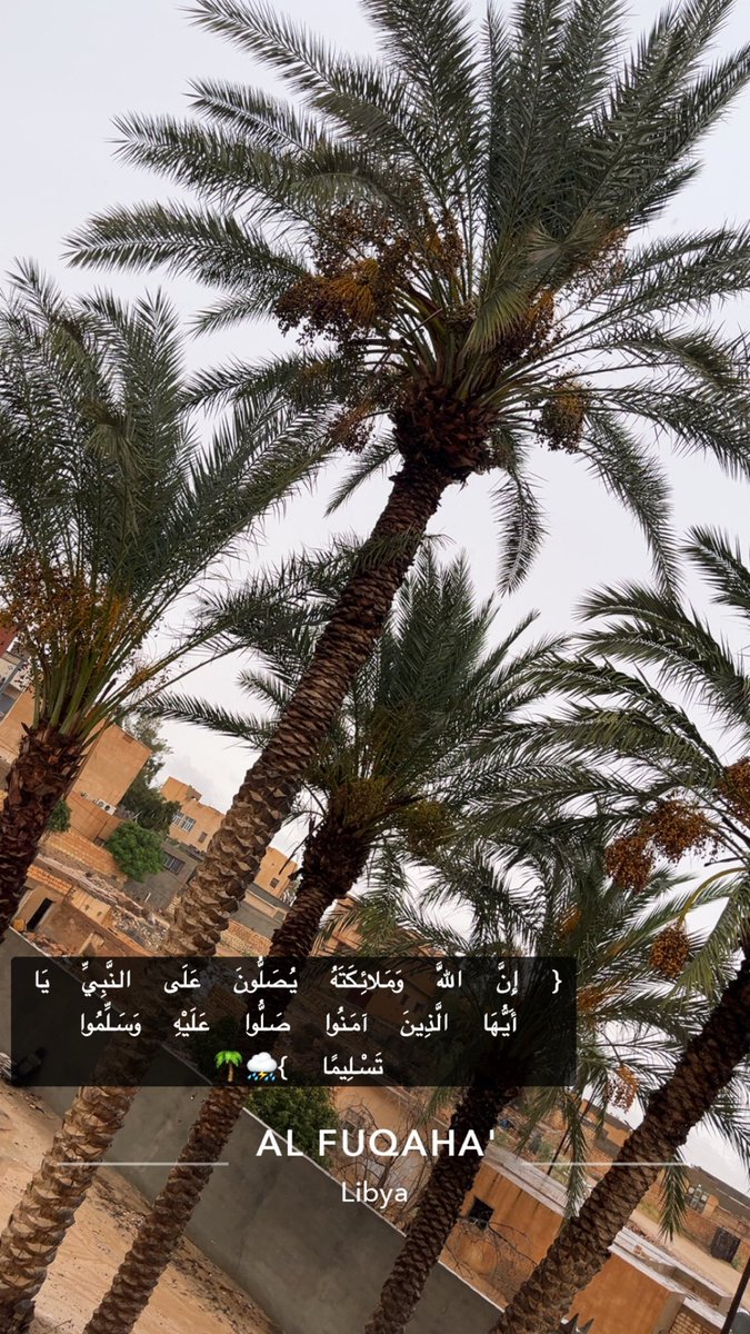 i__Sese's tweet photo. اللهم غيثًا نافعًا🌴⛈️🤍 #بني_وليد #ورفلة https://t.co/dWdtKrk3XF
