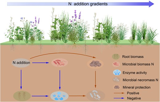 JPlantEcol's tweet photo. #Microbialnecromassnitrogen is the core source of soil nitrogen in #alpinegrasslands, and the contribution of soil properties to its changes is greater than that of plant and microbial factors.
#nitrogenadditiongradient | #nonlinearresponse
https://t.co/WDY8JTtoLb https://t.co/C2L80IYTbO