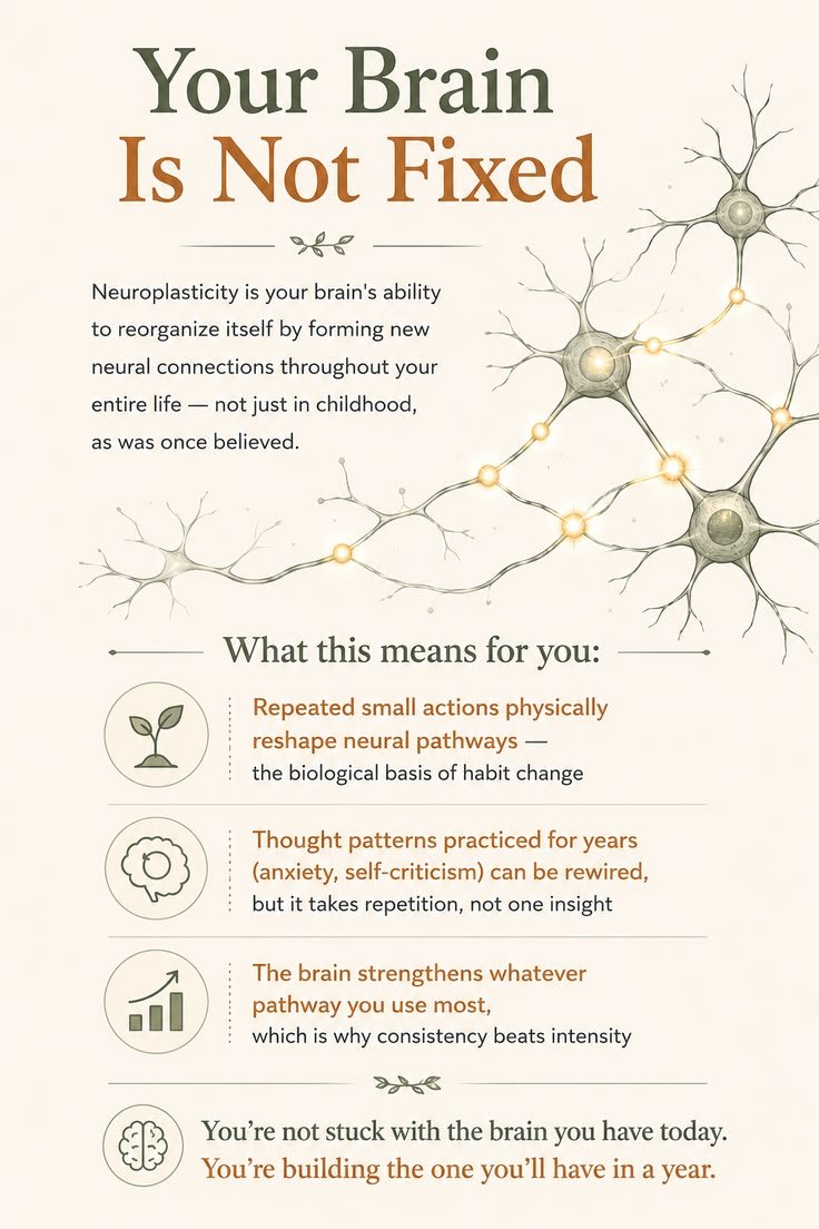 neuronpowers's tweet photo. Your brain is not fixed 

Comment "Ready" to receive my course https://t.co/CTWEyNPILf