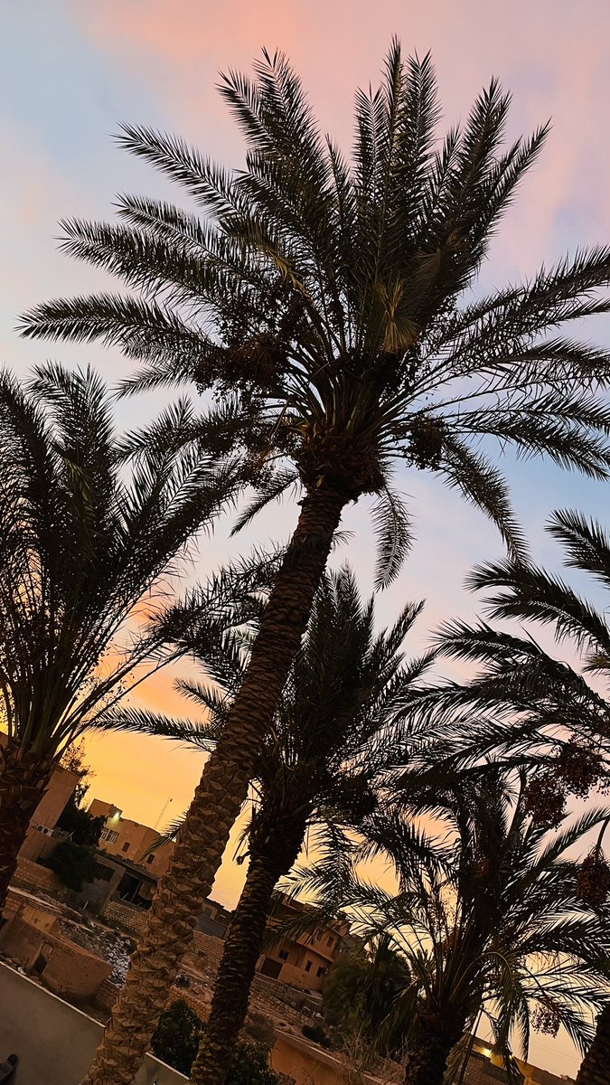 i__Sese's tweet photo. "اللهم احلل الحبال المعقدة، وسهّل الأمور المشددة." https://t.co/ahUPbrh3QO