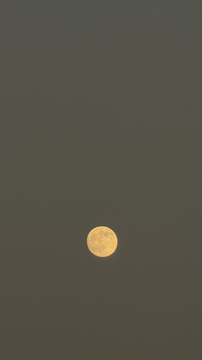 itstaifan's tweet photo. قمر ١٤🌕! https://t.co/FYWWnLukeC