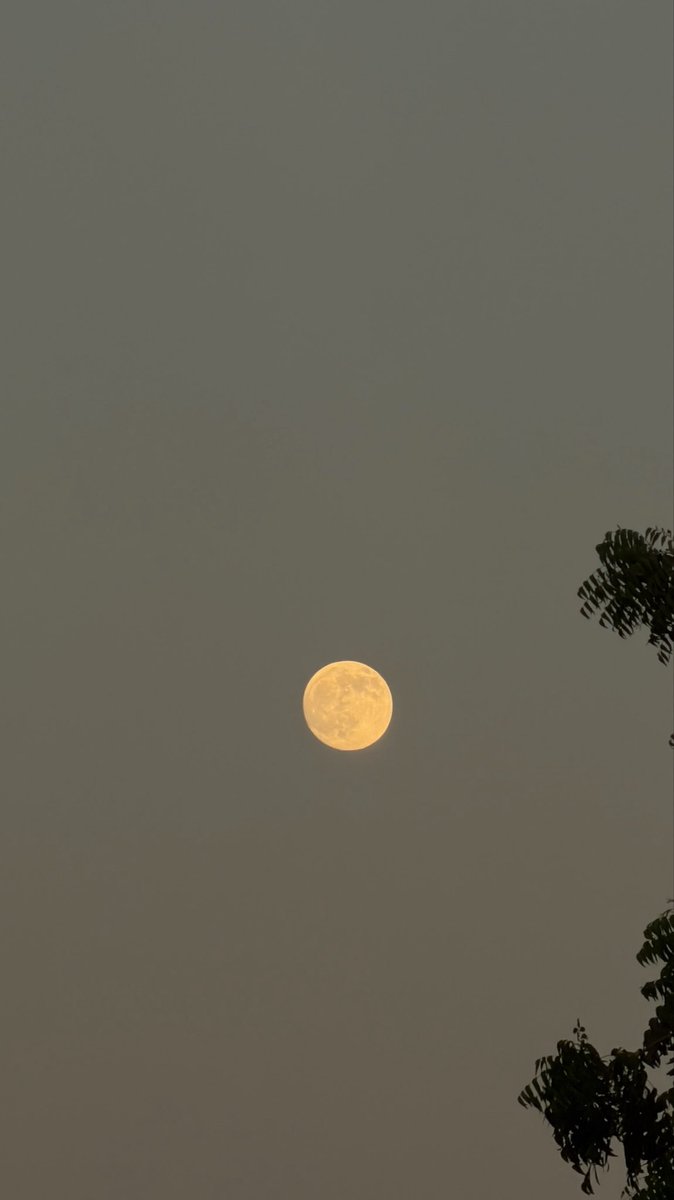 itstaifan's tweet photo. قمر ١٤🌕! https://t.co/FYWWnLukeC